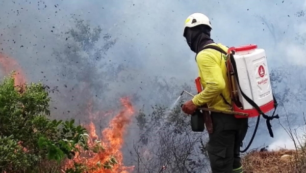 Cortolima sigue haciéndole frente a los incendios forestales