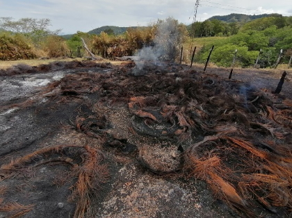 Cortolima impone medida de compensatoria por afectaciones de un incendio en Mariquita