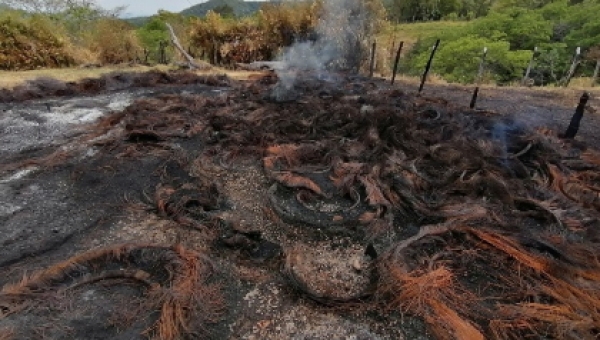 Cortolima impone medida de compensatoria por afectaciones de un incendio en Mariquita