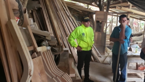 9 capturados deja 2 operativos contra el tráfico ilegal de madera en el departamento