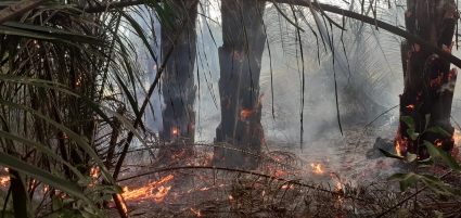 Quemas controladas en áreas rurales están prohibidas salvo algunas excepciones