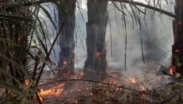 Quemas controladas en áreas rurales están prohibidas salvo algunas excepciones