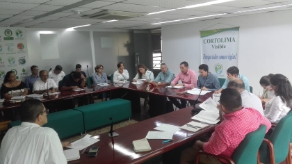 Cortolima insistirá a la ANLA que se mantengan las medidas de suspensión de actividades de construcción en el sector el cerro “El Fraile” en la doble calzada Ibagué - Girardot