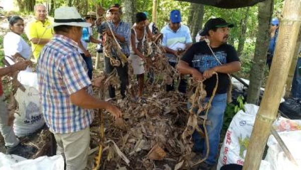 Con proyectos para conservar los suelos, las comunidades indígenas de Pocharco y Yaví conmemoran el Día Mundial de la Lucha Contra la Desertificación y la Sequía