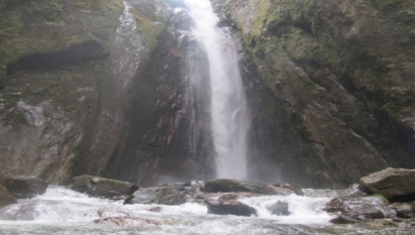 Declaran objeto de derecho los ríos Combeima, Coello y Cócora