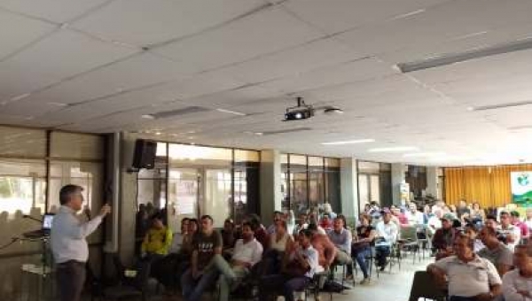 Las ONG's, organizaciones fundamentales para el sostenimiento ambiental