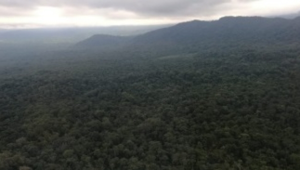 La declaratoria del Bosque Galilea sería motivo para celebrar el día Mundial del Medio Ambiente