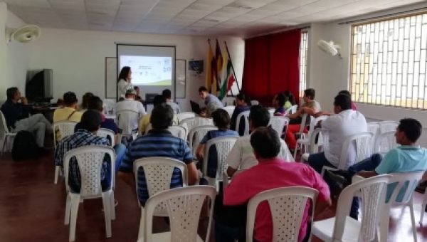 Esto es lo que debe hacer a la hora de ofertar un predio en Cortolima