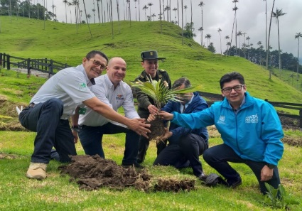 CARS del Tolima, Risaralda, Quindío y Cundinamarca firman alianza para proteger el árbol nacional