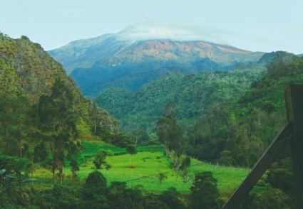 Si va a visitar en esta Semana Santa la Reserva Forestal Protectora Regional “Alto Combeima” conozca las medidas preventivas