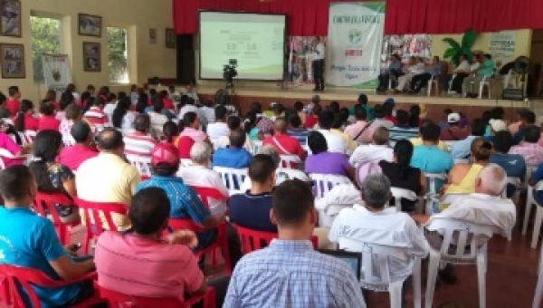 Así rendimos cuentas a los Tolimenses