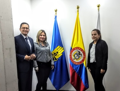 La institucionalidad volcada para Villarrica