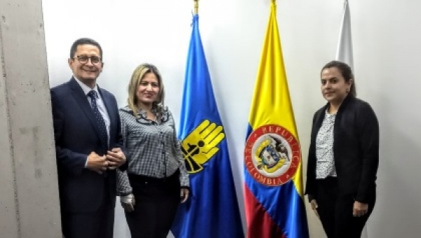 La institucionalidad volcada para Villarrica