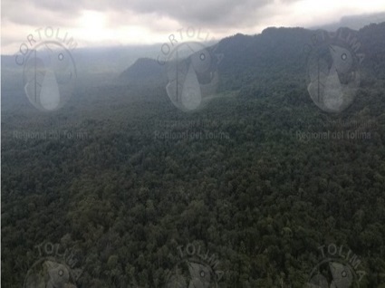 Un acuerdo permitiría la declaratoria del bosque Galilea