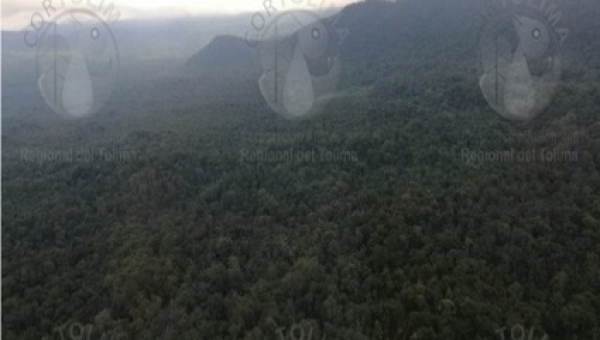 Un acuerdo permitiría la declaratoria del bosque Galilea