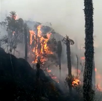 Cortolima le hace frente al incendio reportado en la zona del “Palomar” del municipio de Anzoátegui