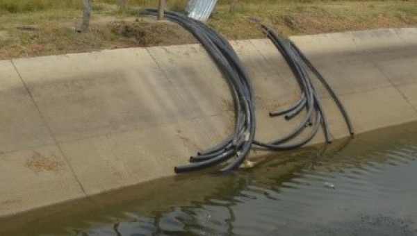 Primeros acuerdos en el Triángulo del Tolima