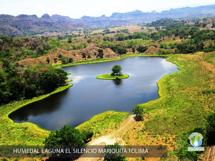 Humedales del Tolima una riqueza que debemos conservar