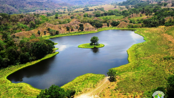 Humedales del Tolima una riqueza que debemos conservar
