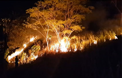 Prepárese para las travesuras del “Niño