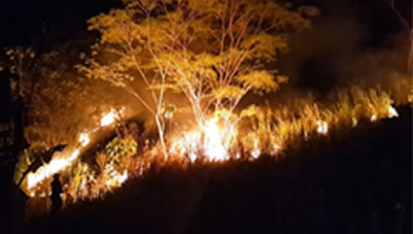 Prepárese para las travesuras del “Niño