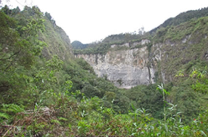 ¿Por qué conservar la Reserva Forestal Protectora Regional "Alto Combeima", Combeima”?