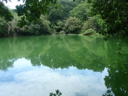 Humedal Río Viejo un paraíso en aviturismo