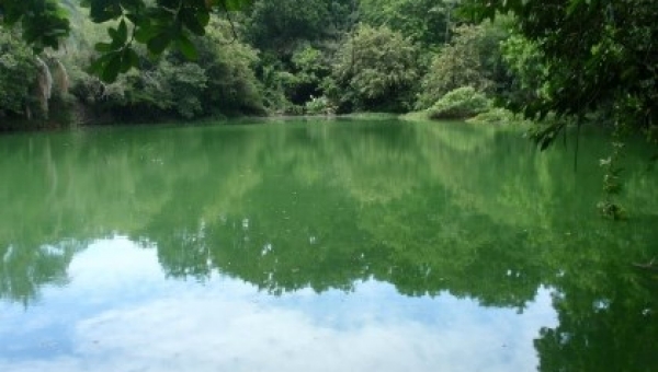 Humedal Río Viejo un paraíso en aviturismo
