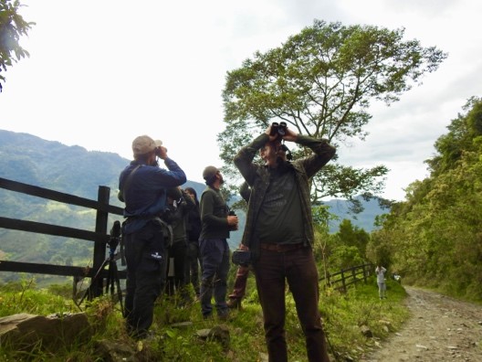 “Toche”, paisaje y avifauna, el destino perfecto para “pajarear”.
