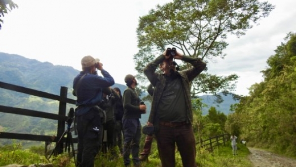 “Toche”, paisaje y avifauna, el destino perfecto para “pajarear”.