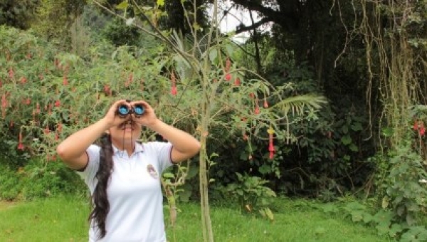 Conozca las actividades realizadas en el 4º Festival de Aves del Tolima
