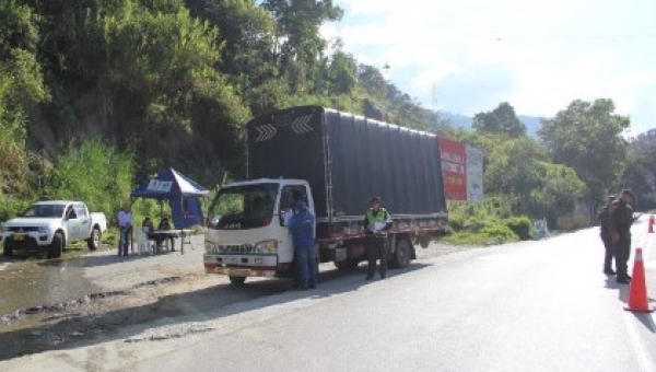 Cortolima sigue en lucha contra el tráfico de madera