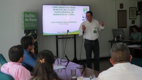 Graves consecuencias negativas ambientales tendría Ibagué por la derogación del acuerdo 11 del 2016