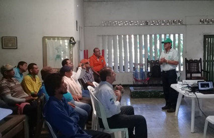 Cortolima se enfoca en conservar el Jaguar