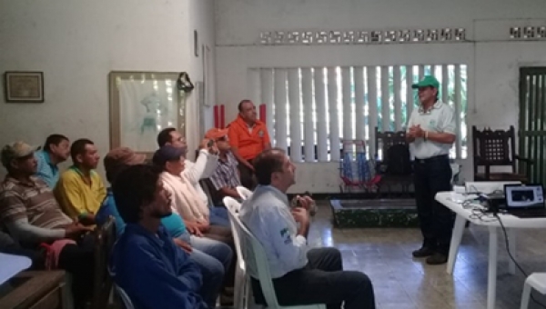 Cortolima se enfoca en conservar el Jaguar