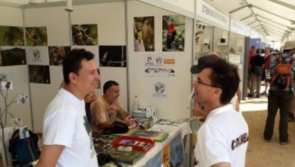 En Europa ya saben que Tolima es potencia en aves