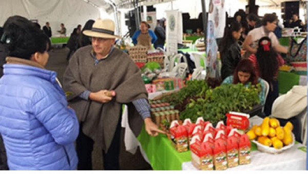 5 Programas Regionales de Negocios Verdes ha implementado el Ministerio de Ambiente y Desarrollo Sostenible