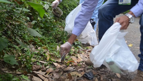 Cortolima Se vincula a la jornada de limpieza más grande de Colombia
