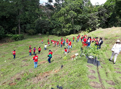 Ibagué se unió a la campaña nacional #meunoporelambiente