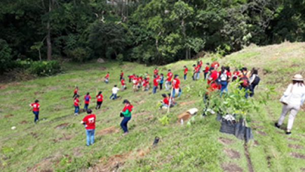 Ibagué se unió a la campaña nacional #meunoporelambiente
