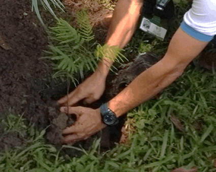 Previo al "Día Internacional del Medio Ambiente", Cortolima participa en la campaña #meunoporelambiente