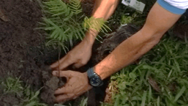 Previo al "Día Internacional del Medio Ambiente", Cortolima participa en la campaña #meunoporelambiente