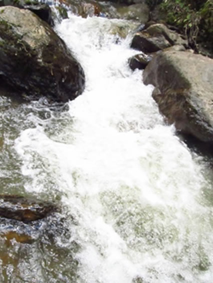 Metas de reducción de carga contaminante ya se puede consultar en web de Cortolima