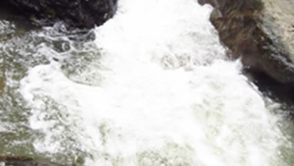 Metas de reducción de carga contaminante ya se puede consultar en web de Cortolima