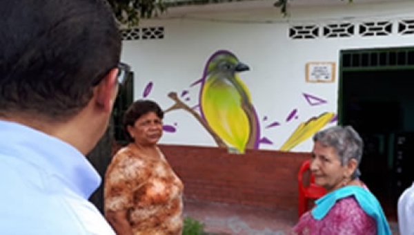 Conozca un barrio donde las aves se toman un municipio del Tolima
