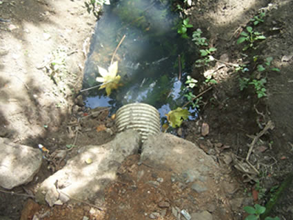 Así va el proceso de metas de carga contaminante en el Tolima