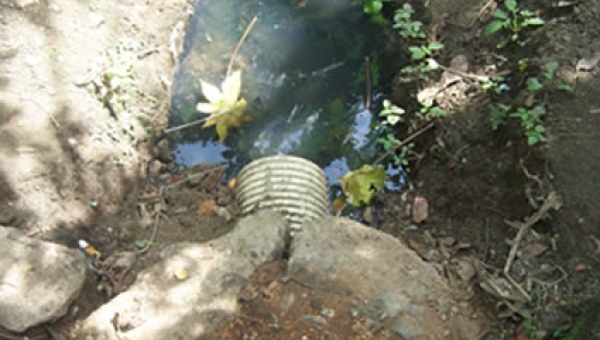 Así va el proceso de metas de carga contaminante en el Tolima