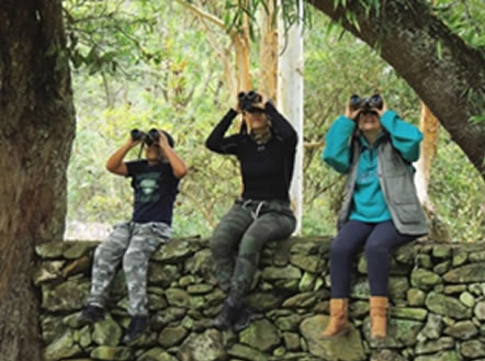 Colombia por segundo año consecutivo líder del Global Big Day