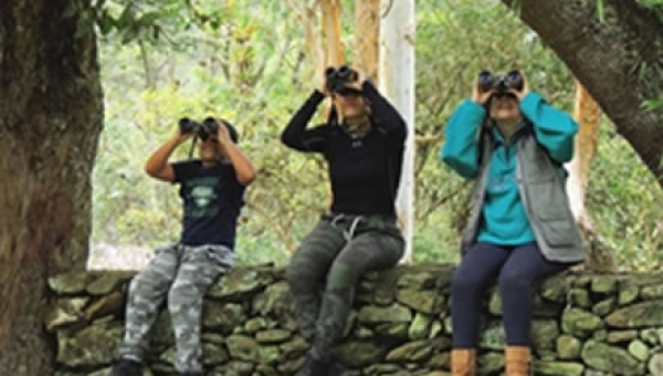 Colombia por segundo año consecutivo líder del Global Big Day