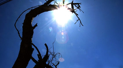 Aún no llega el periodo seco y ya se registran incendios forestales